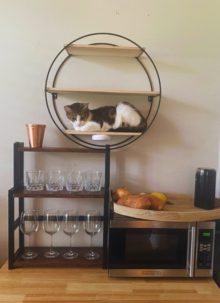 Cat Helps Decorate Drink Bar